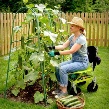 Gardening and lawn care tools