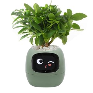AI Smart Plant Pot with 100+ Expressions industrial tool