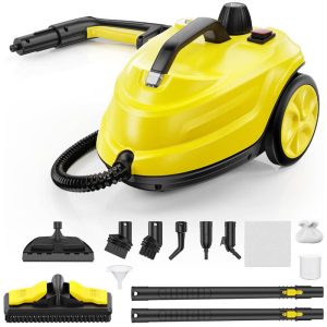 Multi-purpose Steam Cleaner industrial tool